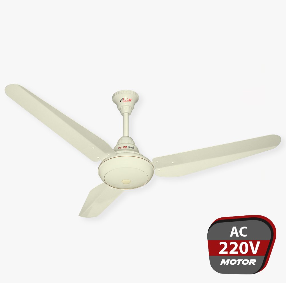GRACE-Allied-FAN-1000x988-g1