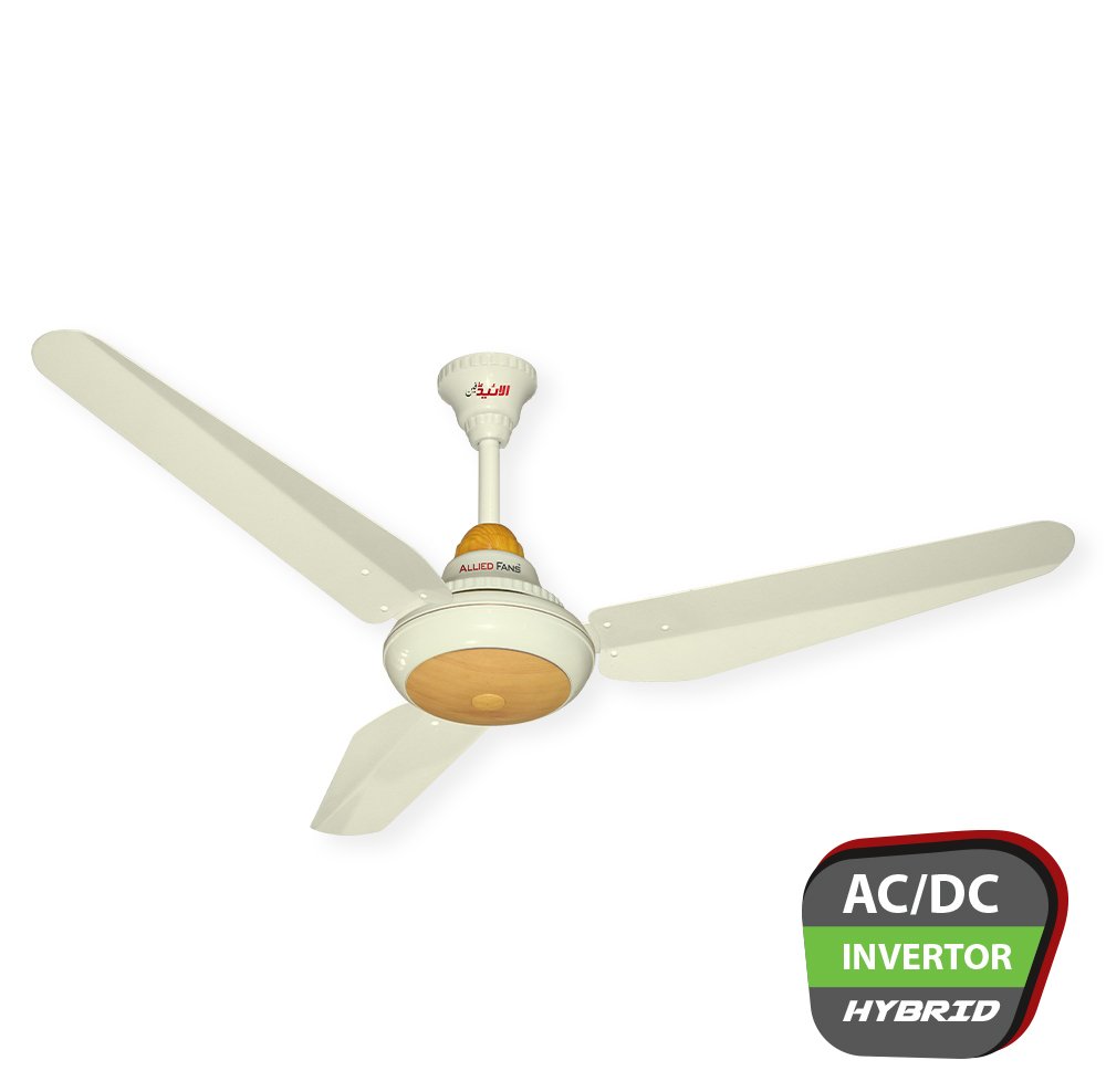 plus-GRACE-Allied-FAN-1000x988